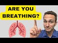 Respiratory System 101 Anatomy And Physiology 