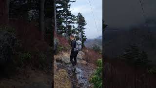 Mount Mitchell: Our Thoughts on the 13.2 Mile Hike 🏞️ #mountmitchell