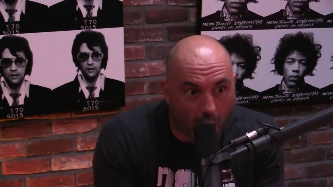 Joe Rogan discusses the bizarre aquatic ape theory