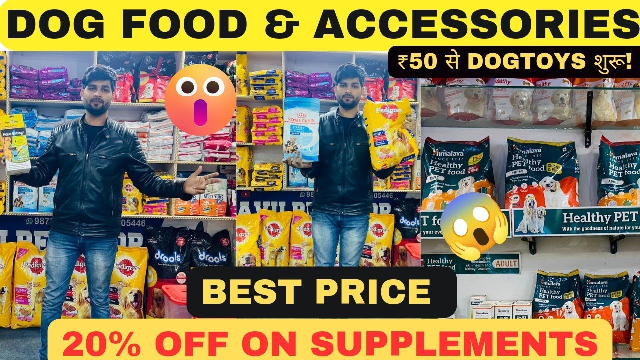 cheapest-dog-food-accessories-market-in-delhi-wholesale-retail