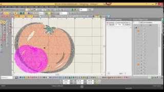 EmbroideryStudio 3 0 Auto Digitizing