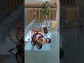 NexiBot its Alive she can Dance and move talk and Show Emotions #esp32sirobot