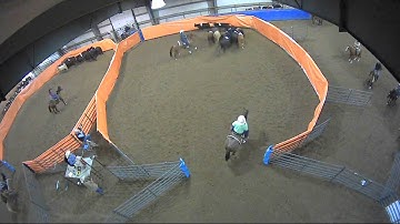 Big Sky Ranch Sorting Saddle Series #2 - Open H/C - Round #1 - Ride #14