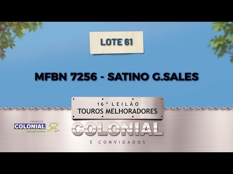 LOTE 61 MFBN 7256