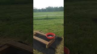 NEW LCBA APIARY LAYOUT.