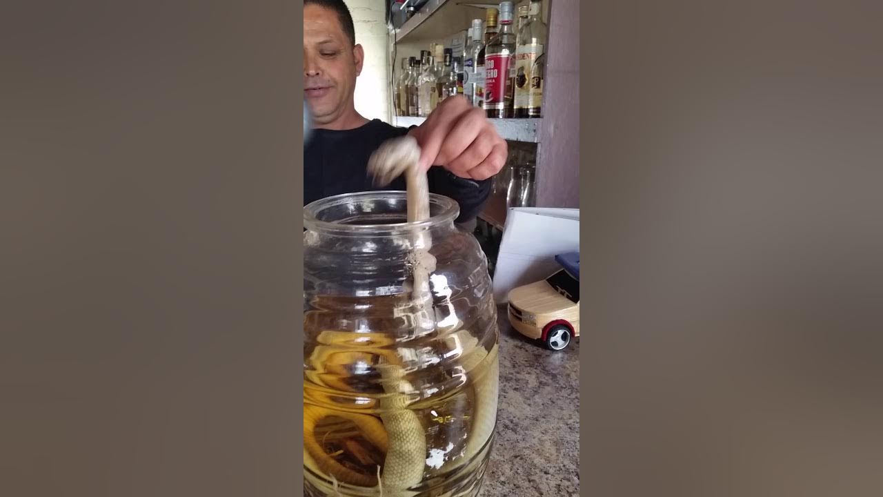 100 REAL HOMEMADE RATTLESNAKE TEQUILA YouTube