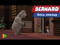 Бернард - 68 - Лифт | Мультфильмы |