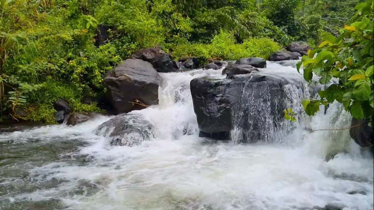 River Ambience For Steady Focus & Calm Productivity 4K • 1 Hour River Stream Ambience