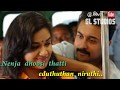 Tamil whatsapp status lyrics tsk song gl studios