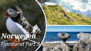 Norwegen, Norway - Fjordland - Part 3: Vogelinsel Runde - Papageitaucher (Puffins); Kannesteinen