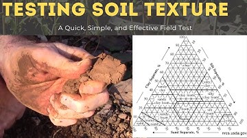 How to Determine Soil Type by Hand - The Ribbon Test