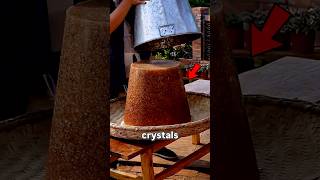 Why This Sugar Costs $699