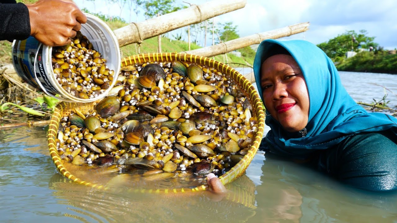 Berbagai Jenis Kerang Ada Disungai Ini & Sangat Melimpah