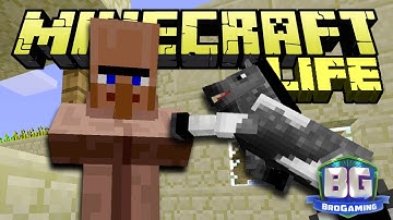 Taming a Horse - The Minecraft Life - Bro Gaming