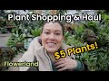 5 plants plant shopping  plant haul  flowerland indoor house plant shopping