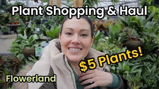 $5 Plants! Plant Shopping & Plant Haul  Flowerland Indoor House Plant Shopping