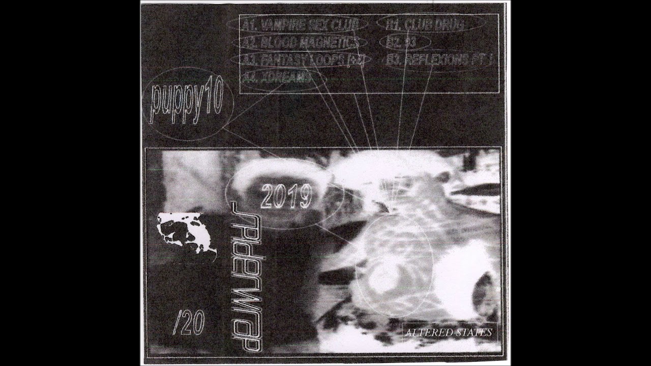 Spiderwrap - 93 [PUPPY10]