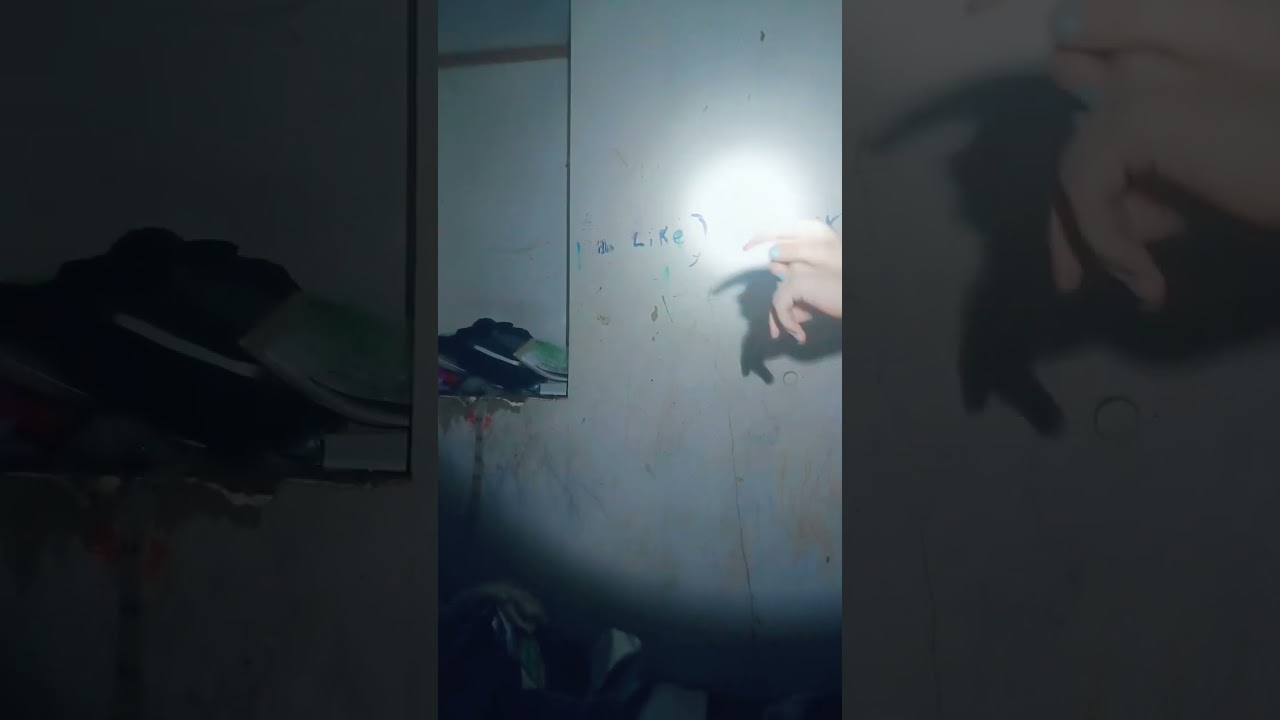 tried the wolf and rabbit trend BUNNY TOOK A MOMENT 