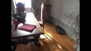 Unique house in central Portugal Internal 2 Panoramic views