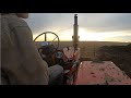 Cleaning And Hauling manure From Dry Cow Shed