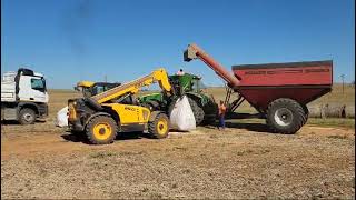 @diecisrl Samson 45.8 telehandler assisting with filling of soya beans in bulk bags.