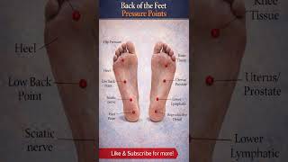 Back of The Feet Pressure Points #shorts #acupuncture #healthylife #health #massage #pressurepoint