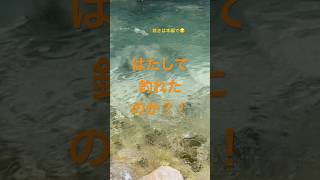 へっぴり腰の M。岩の下に逃げられそうな魚を釣り上げることが出来たのでしょうか。本編No.19に続く！