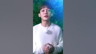 100seconds with Chen첸 (EXO) -  OST Everytime, Best Luck, Cherry Blossom Love Song, Beautiful Goodbye