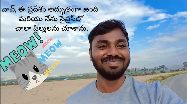 Video 11311501: amazing cat