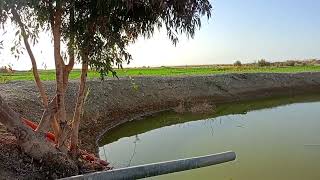 الوادي الجديد الفرافرة  ساعة العصاري 01122474189