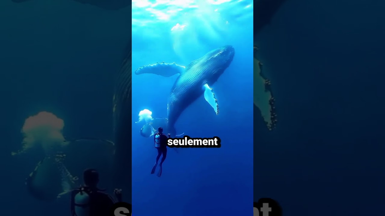 Faits sur les animaux qui vont vous épater 