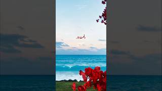 آه ولا سين ولا جيم  أنا شاري    توليت          صيف  الساحل الشمالي  الساحل الشرير  الساحل الشمالى - اسمعها