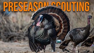 Find Your Opening Day Turkey