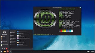 Linux Mint 22.3 Cinnamon Beta – First Look (No Commentary)