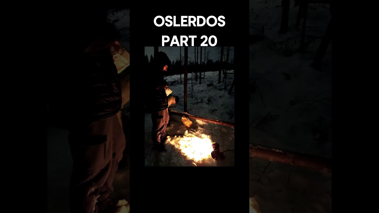 PART 20 | VIATGE A OSLO | Sense el Fliprex