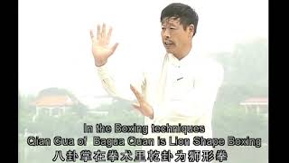 Sun-style Youshen Bagua Lianhuan Zhang '孙氏游身八卦连环掌' - YouTube