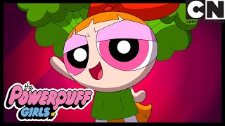 The Girls Learn The Food Groups! | Powerpuff Girls | Cartoon Network