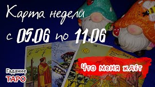 Карта недели: с 05.06 по 11.06.