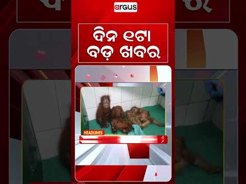 1 PM Headlines | 16 Sep 2026 | Today’s Top News Updates | Odisha Latest News | Argus News