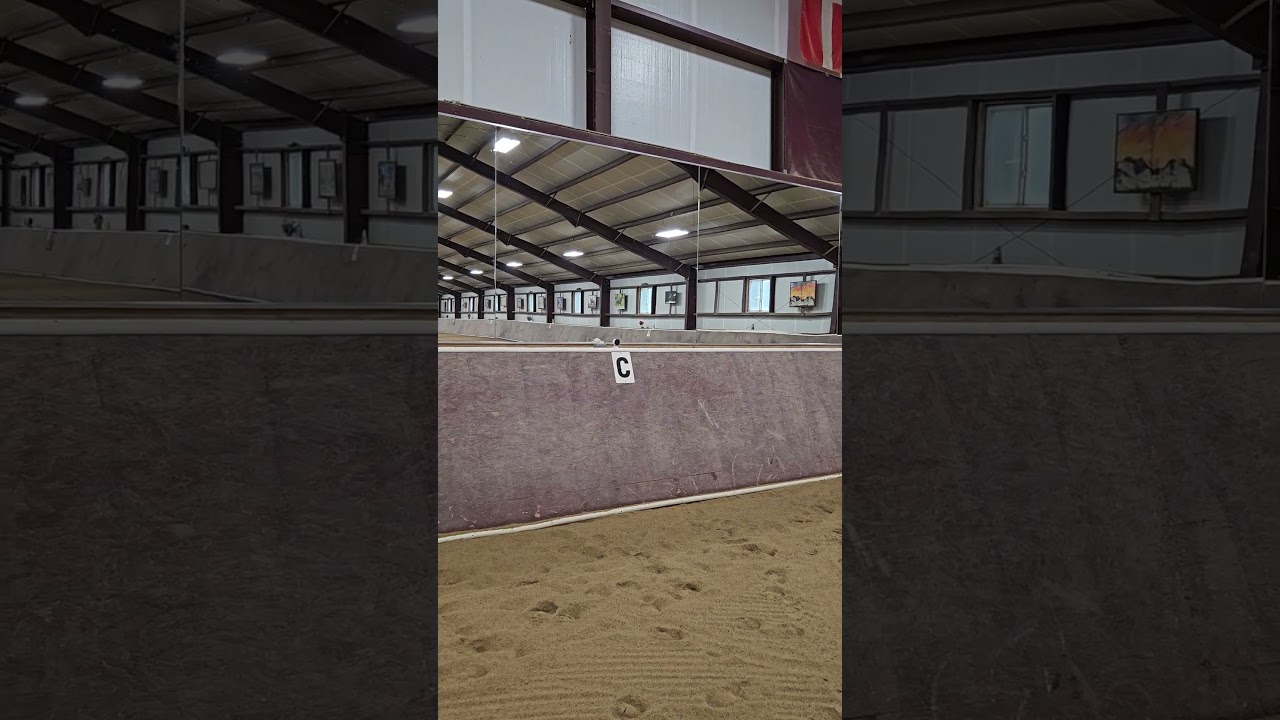 Mirrors In Horse Riding Arena! 🪞 