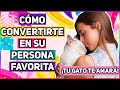 Conviértete En La Persona Favorita De Tu Gato (7 Métodos Efectivos) - SiamCatChannel