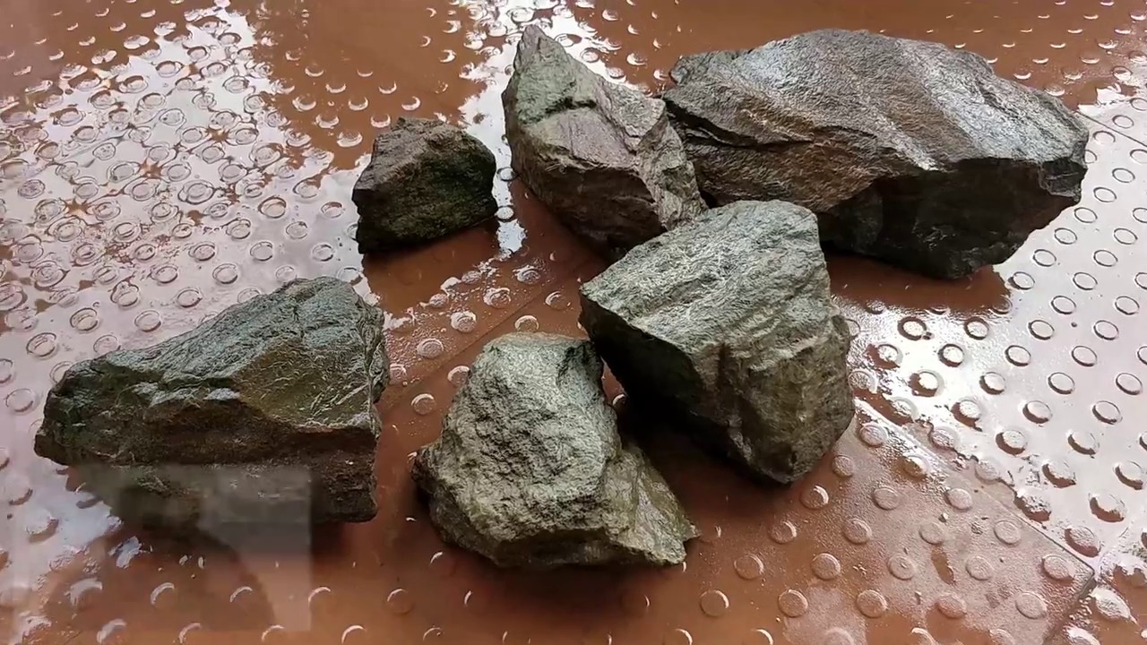 Fish Who Collect Rocks Collecting Rocks for Fish Pond - YouTube