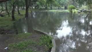 2013-02-22 - UP Lagoon Weir Gate 2 - at 0.5 m water level above invert. (clip 6).