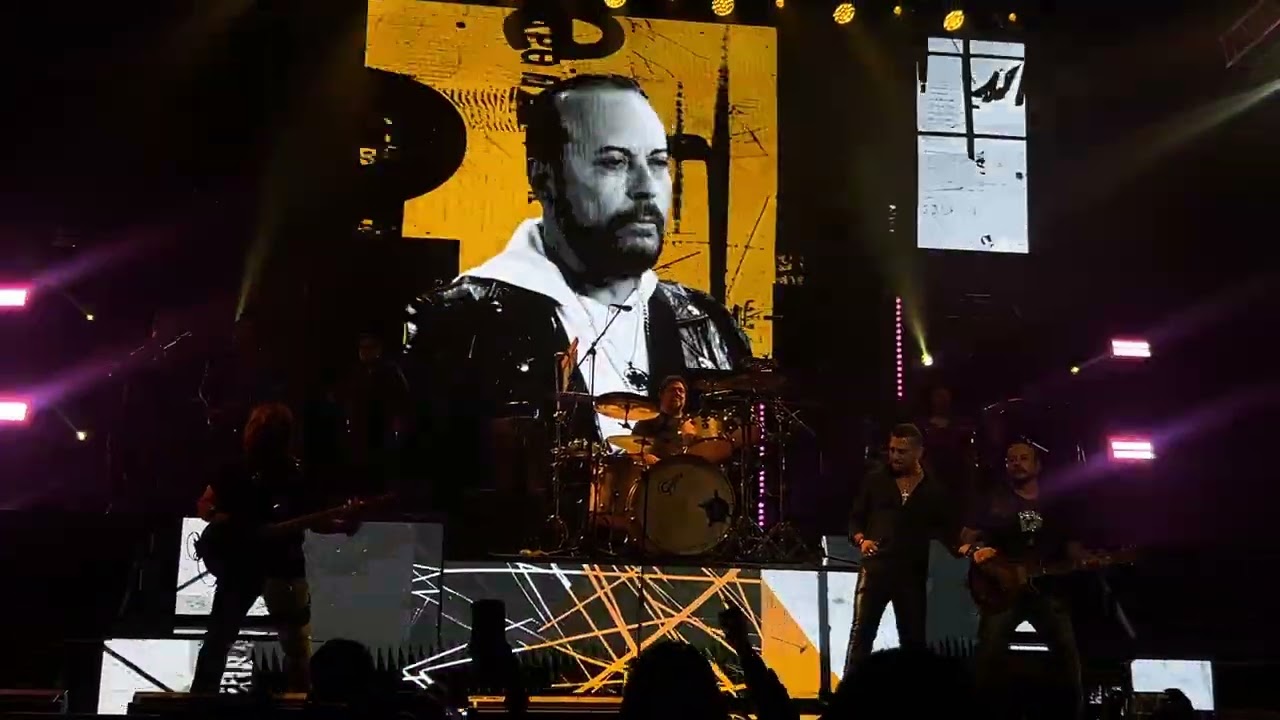 Sabor a Chocolate- Elefante (En vivo)