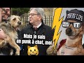 Les chiens avec Mélenchon ?