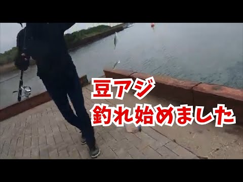 宮崎の海釣り hqdefault.jpg
