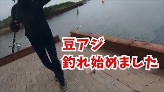 宮崎の海釣り sddefault.jpg