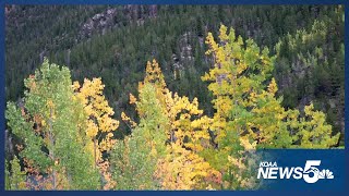 Fall foliage frenzy sparks Guanella Pass crackdown