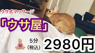 疲れた時にうさぎにして貰うマッサージが気持ちイイ #222
