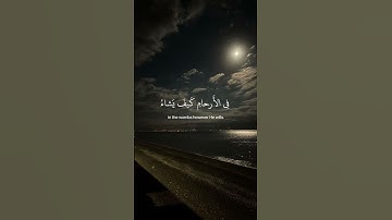 ﴿ إِنَّ الله لَا يَخفى عَليهِ شَيء ﴾ سوره آل عمران، عبدالرحمن مسعد #قرآن #ارح_قلبك #قران_كريم